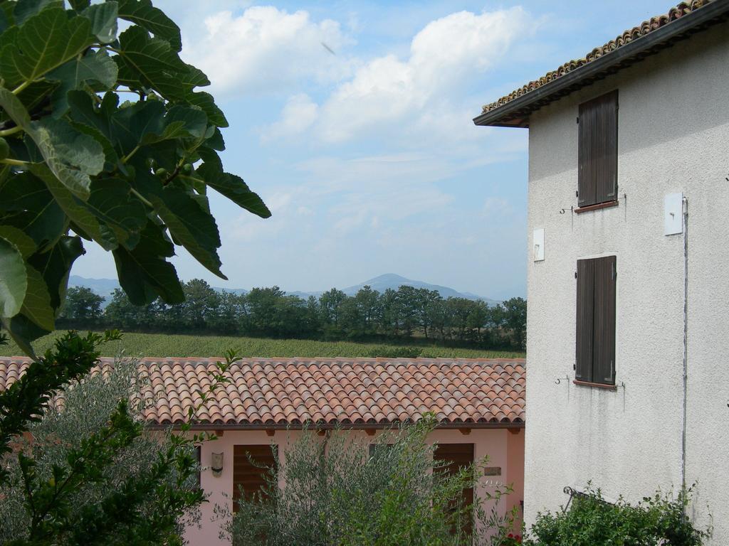 Villa Santa Croce Fossato di Vico Exterior foto