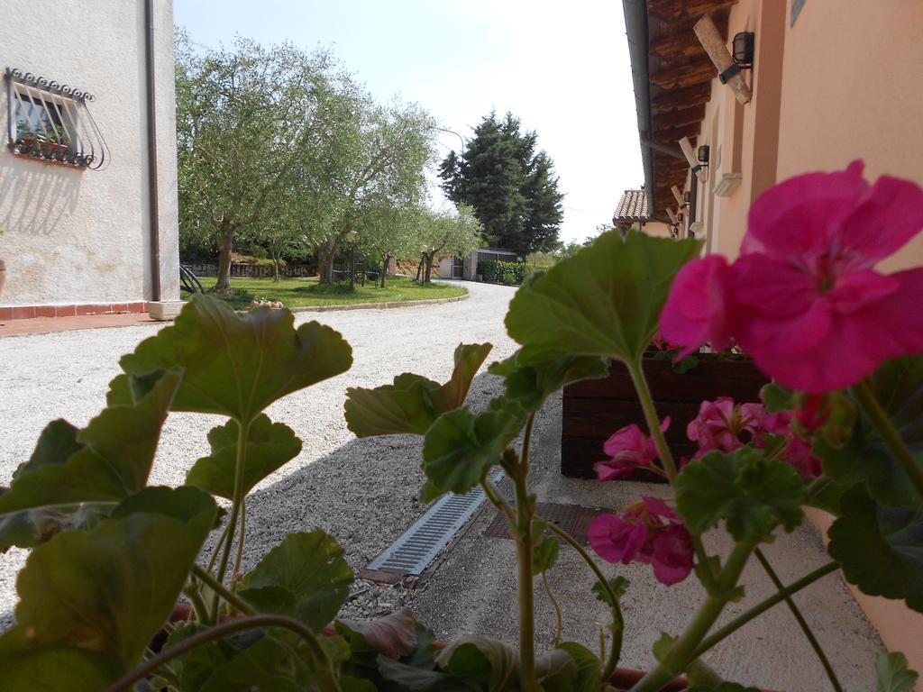 Villa Santa Croce Fossato di Vico Exterior foto